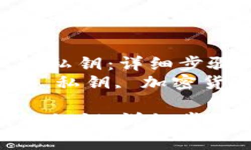 如何查看TP钱包私钥：详细步骤与注意事项  
关键词：TP钱包, 私钥, 加密货币  

如何查看TP钱包私钥：详细步骤与注意事项